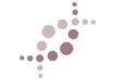 DVE CONSEILS logo