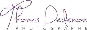 DEDENON THOMAS logo