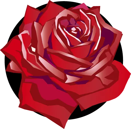 CONSEIL FUNERAIRE logo