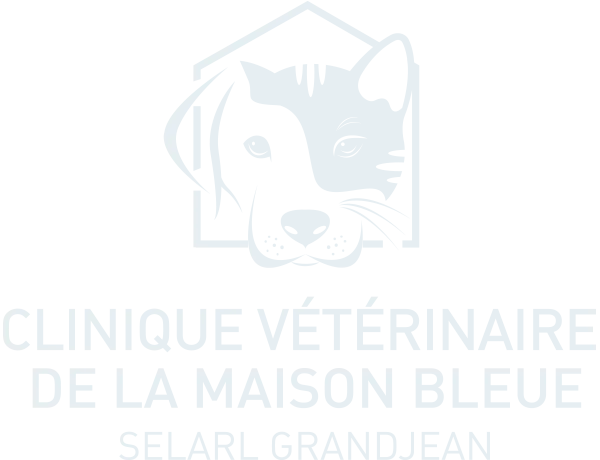 AUER PASCAL logo