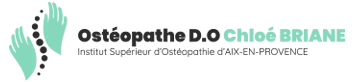 BRIANE CHLOE logo