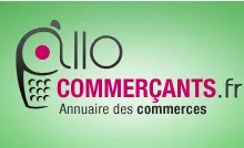 GROUPE ALLO-MEDIA logo