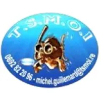 TSMOI logo