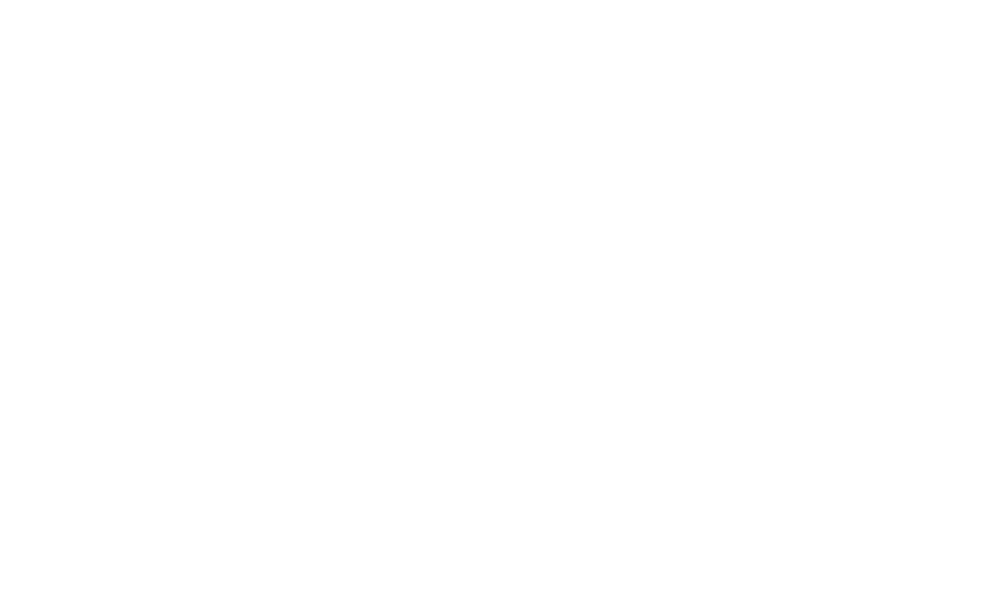 N S ENVIRONNEMENT logo
