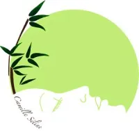 ECOLE PRIVEE ET CENTRE DE FORMATION D APPRENTIS ESTHETIQUE ET BIEN - ETRE CAMILLE SELINE logo