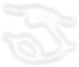 ALLISONE logo