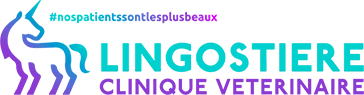MARTINEZ NICOLAS logo