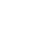 TRANSPORTS DAZZAN BRICE logo