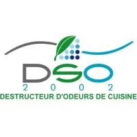 DSO 2002 logo