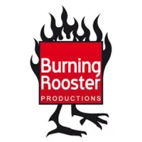 BURNING ROOSTER SARL logo