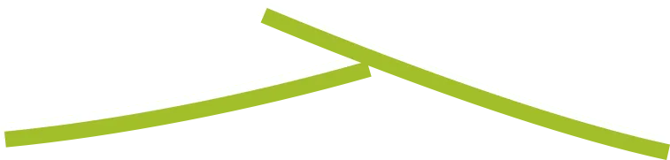 MAVI logo