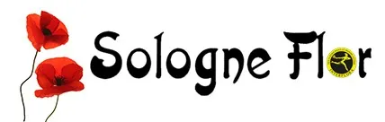 D'ALESSANDRO SEVERINE logo