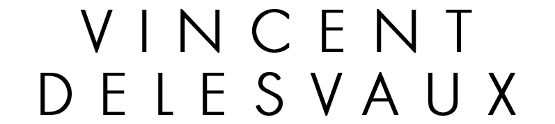 DELESVAUX VINCENT logo