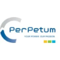 PERPETUM ENERGY logo