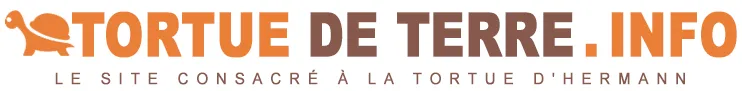JAVAUX PHILIPPE logo