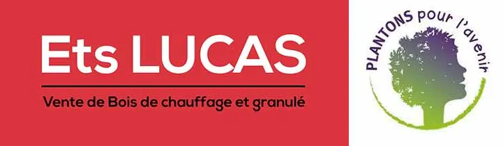 LUCAS COMBUSTIBLES logo