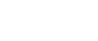 LES 3 TENORS logo