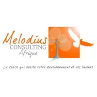 MELODIUS CONSULTING logo