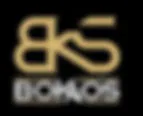 SLBD logo