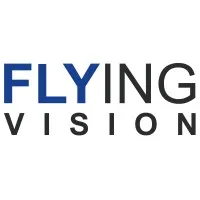 FLYING VISION logo