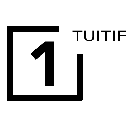 SAFIER LAURENT logo