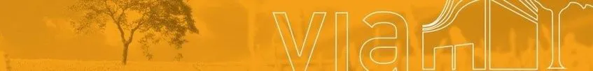 VIASYNERGIE logo