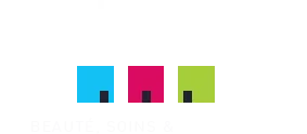 L'INSTITUT logo