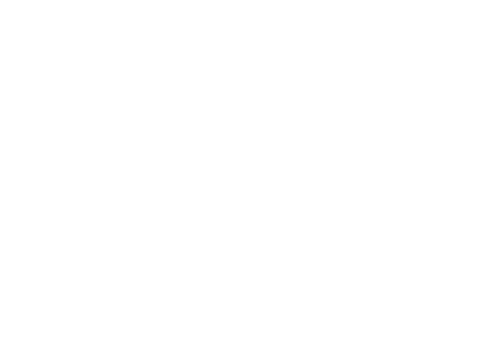 SPECHT NICOLAS logo