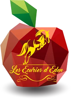 CHAMBON EMMA logo