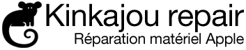 ESIMPORT logo