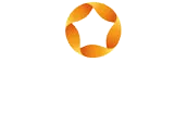 AVISAUDIT logo