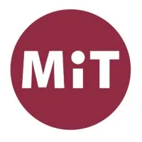 MIT CONSEIL logo