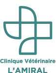 VETILITY logo