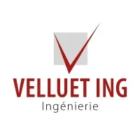 VELLUET (VELLUET ING) logo