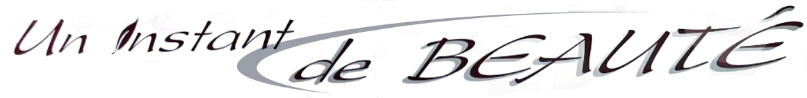 F.BALLANGER (un instant de beaute) logo