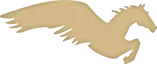 RMG COACH REUNION logo