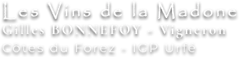 LES VINS DE LA MADONE logo