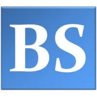 BS GESTION & ASSOCIES logo