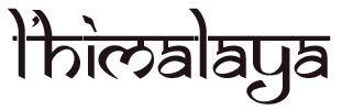 HAMZA MINHAS logo
