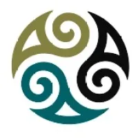 CELTIC TRANSPORTS (CELTIC TRANSPORTS) logo