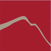 Voici le logo de la marque PRAESENS qui représente son identité graphique.