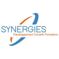 SYNERGIES DEVELOPPEMENT CONSEILS FORMATIONS logo