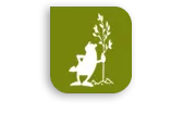 HALATTE PAYSAGES logo
