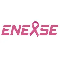ENEXSE logo