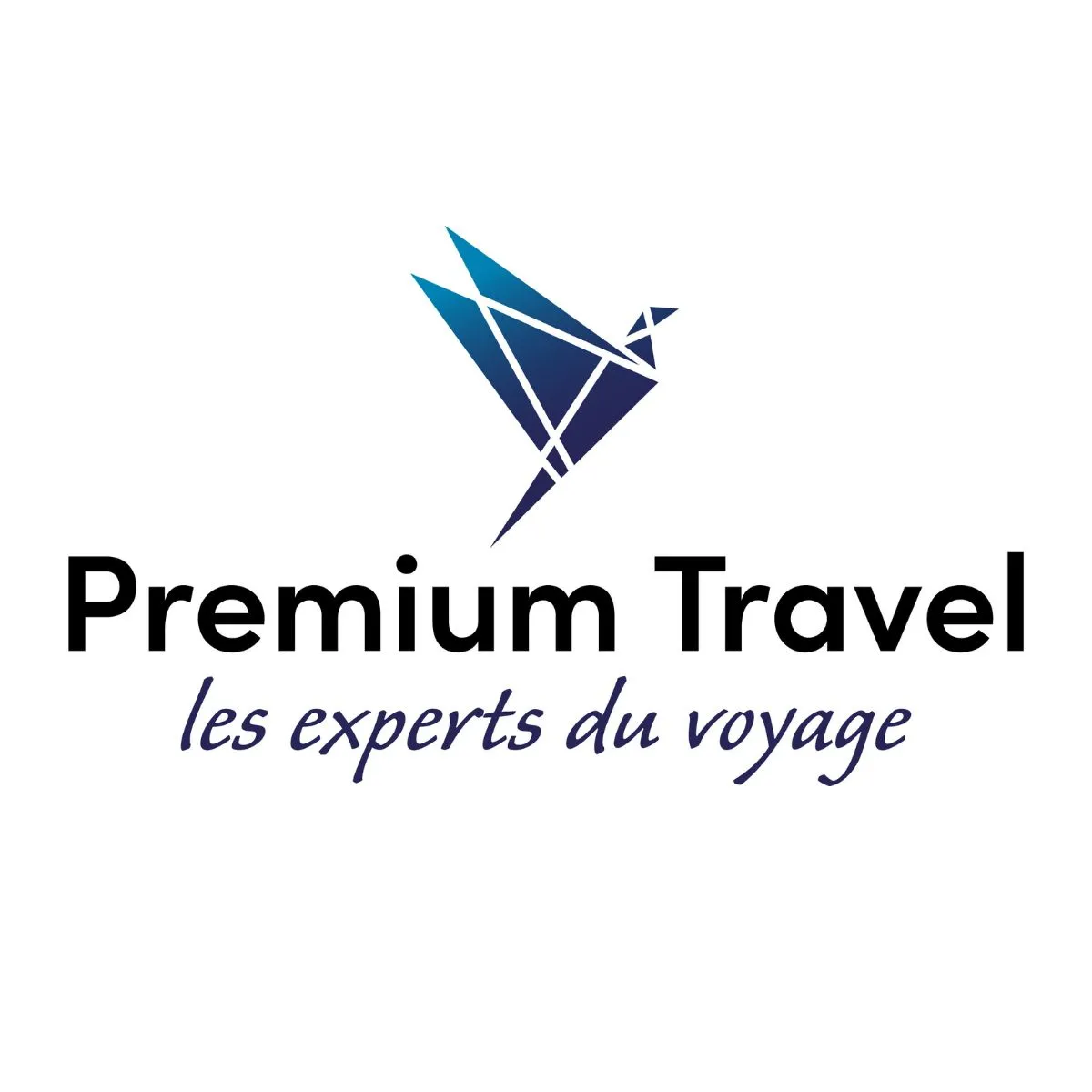 PREMIUM TRAVEL HOLDING logo