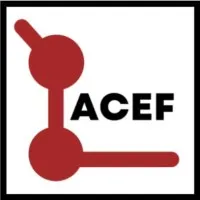 AUDIT CONSEIL ELEARNING FORMATION (ACEF) logo
