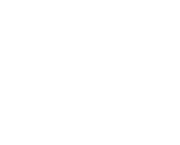 BREVIERE VINCENT logo