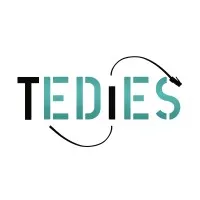 EDIES CONSULTING logo