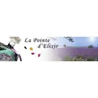 LA POINTE D'ELIXIR logo
