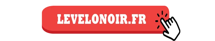 LE VELO NOIR logo